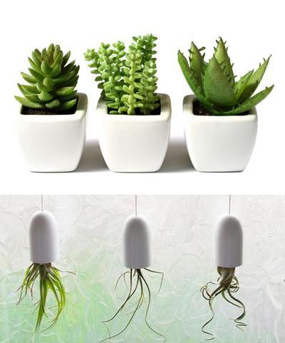 室內擺放植物，起到綠色節能降耗